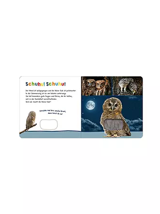 ARS EDITION VERLAG | Buch - Hör mal rein, wer kann das sein? - Tiere in der Nacht | 